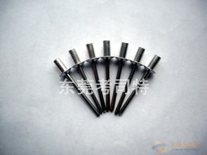 一站式采購圓頭雙鼓拉鉚釘等緊固件，盡在東莞考司特公司